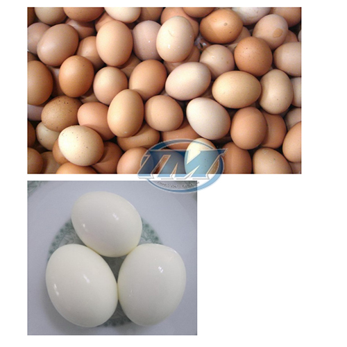 Máy bóc vỏ trứng gà, vịt FT-200 (TMTP-J03)