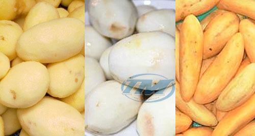 Máy gọt khoai tây YQ-350