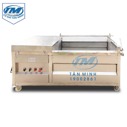 Máy rửa củ gừng, nghệ HS-1200 (TMTP-OB04)