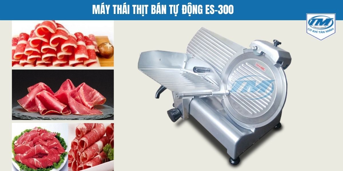 may-thai-thit-ban-tu-dong-es-250-tmtp-e21