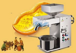 Địa chỉ bán Máy Ép tinh dầu tại Tp Hồ Chí Minh giá hấp dẫn